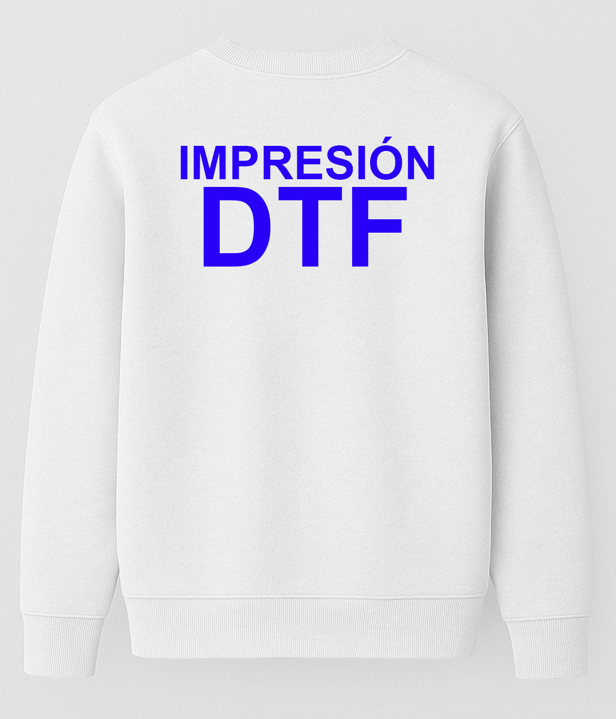 Sudadera Basic - DTF Espalda